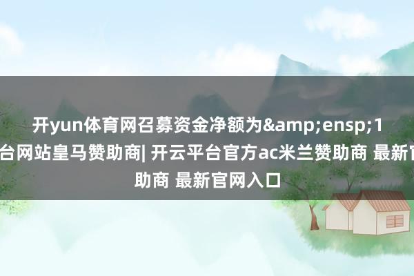 开yun体育网召募资金净额为 1-开云平台网站皇马赞助商| 开云平台官方ac米兰赞助商 最新官网入口