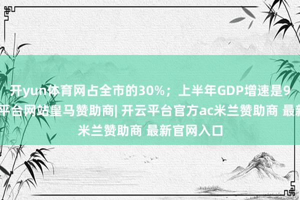 开yun体育网占全市的30%;上半年GDP增速是9.5%-开云平台网站皇马赞助商| 开云平台官方ac米兰赞助商 最新官网入口