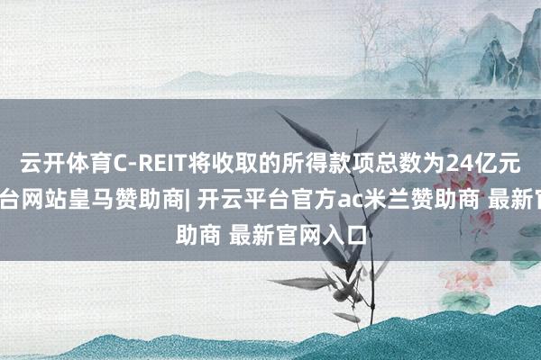 云开体育C-REIT将收取的所得款项总数为24亿元-开云平台网站皇马赞助商| 开云平台官方ac米兰赞助商 最新官网入口