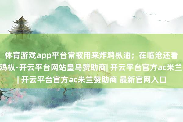 体育游戏app平台常被用来炸鸡枞油；在临沧还看到过单朵滋长的黄皮鸡枞-开云平台网站皇马赞助商| 开云平台官方ac米兰赞助商 最新官网入口